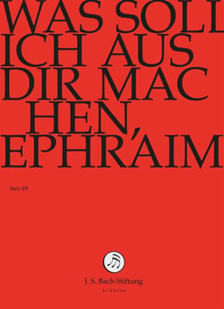 Was soll ich aus dir machen - DVD