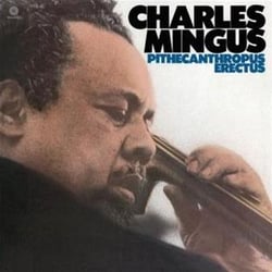 Pithecanthropus Erectus - Vinyle