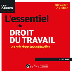 L'essentiel du droit du travail : les relations individuelles - Intègre les dispositions de la LFSS 2025 du 28 février 2025 (édition 2025/2026)