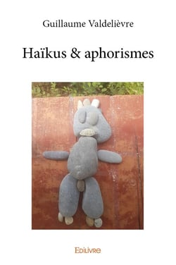 Haïkus & aphorismes