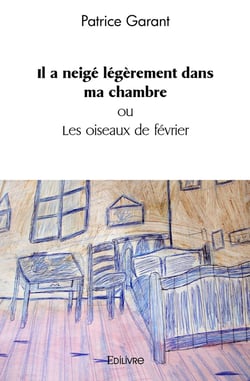 Il a neigé légèrement dans ma chambre : ou Les oiseaux de février