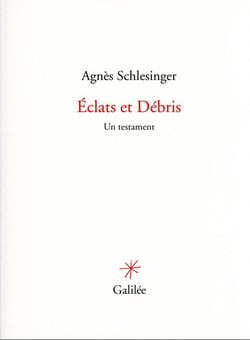 Éclats et débris : un testament