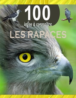 100 infos à connaître : Les rapaces
