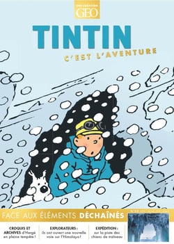 Tintin, c'est l'aventure n.22 : Face aux éléments
