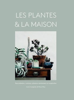 Les plantes & la maison - succulentes, cactées, plantes aériennes et tropicales