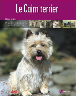 Le cairn terrier