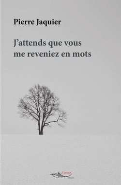 J'attends que vous me reveniez en mots