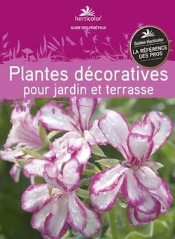 Plantes décoratives pour jardin et terrasse