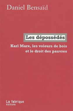 Karl Marx, les voleurs de bois et le droit des pauvres