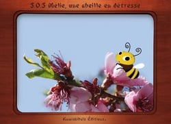 S.O.S. Mélie, une abeille en détresse
