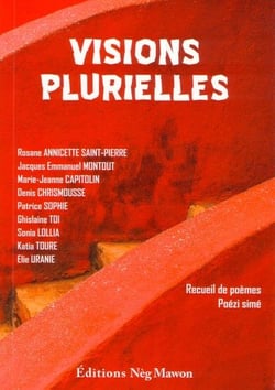 Visions plurielles