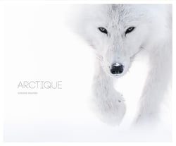 Arctique