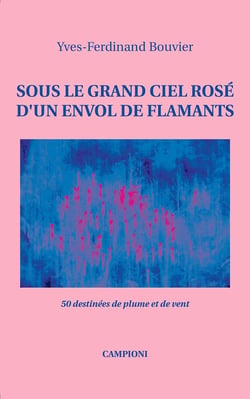 Sous le grand ciel rose d'un envol de flamants - 50 destinées de plume et de vent