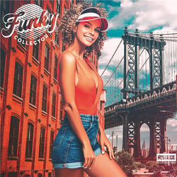 Funky Collector Vol. 3 & 4