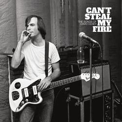 Can't Steal My Fire - The Songs Of David Olney