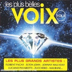 LES PLUS BELLES VOIX VOL. 2