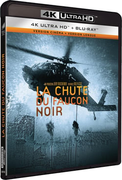 La Chute du faucon noir