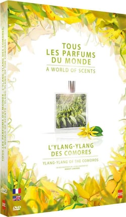 Ylang-Ylang des Comores L'