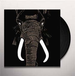 Don't Buy Ivory Anymore