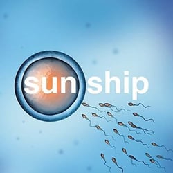 Sun Ship - édition limitée numérotée
