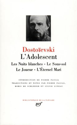 L'adolescent
