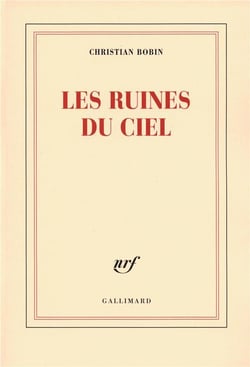 Les ruines du ciel