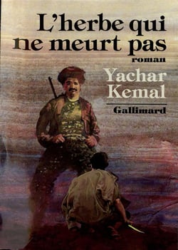 Au-dela de la montagne - iii - l'herbe qui ne meurt pas