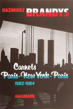 Carnets paris-new york-paris - (1982-1984)