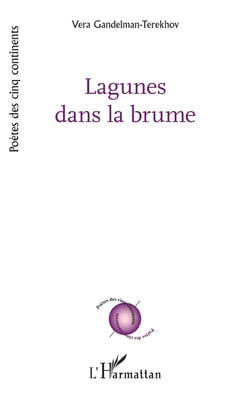Lagunes dans la brume