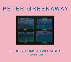 Four Storms & Two Babies : A Love Story