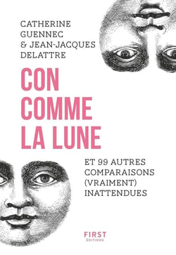 Con comme la lune et 99 autres comparaisons (vraiment) inattendues
