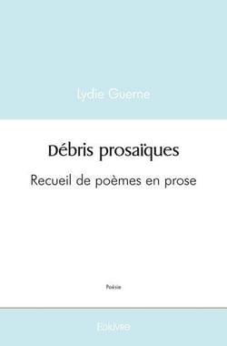 Debris prosaiques - recueil de poemes en prose