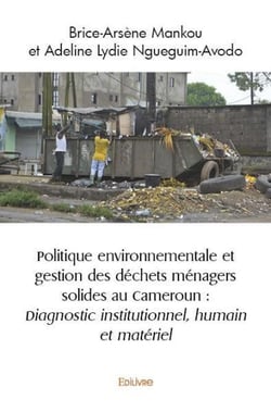 Politique environnementale et gestion des dechets menagers solides au cameroun - diagnostic institut