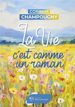 La vie c'est comme un roman
