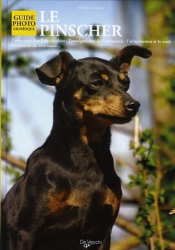 Le pinscher