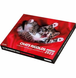 L'année à bloc : chats rigolos : le calendrier magnétique pour vous embellir la vie ! (édition 2023)