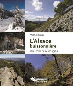 L'Alsace buissonnière - du Rhin aux Vosges