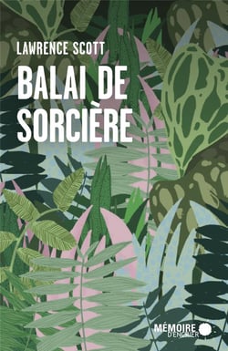 Balai de sorcière
