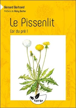 Le pissenlit, l'or du pré !