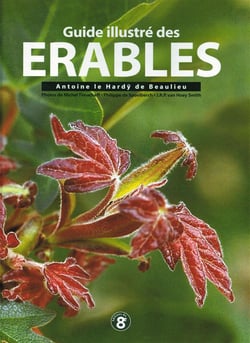 Guide illustré des érables