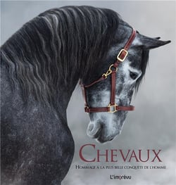 Chevaux - hommage à la plus belle conquête de l'homme