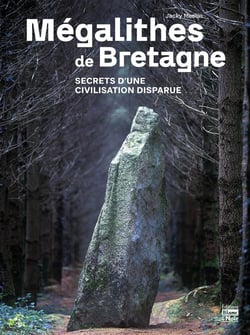 Mégalithes de Bretagne : Secrets d'une civilisation disparue