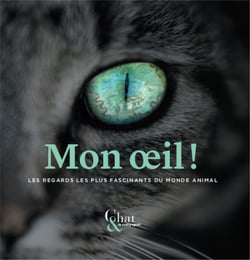 Mon oeil! les regards les plus fascinants du monde animal
