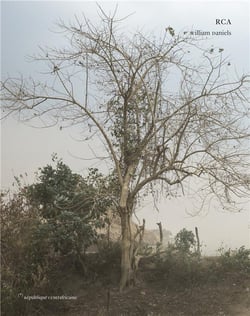 RCA (république centrafricaine)