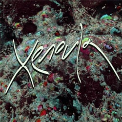 Xenoula - Vinyle