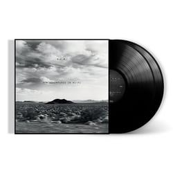 R.E.M. - New Adventures In Hi-Fi (25th Anniversary Edition)