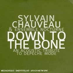 Down to the bone : an acoustic tribute to depeche mode