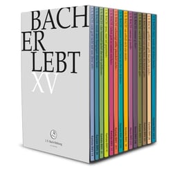 Bach Erlebt XV