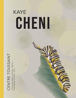 KAYE CHENI : KAYE KREYÒL AYISYEN - PATI I