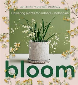 Bloom: flowering plants for indoors and balconies /anglais